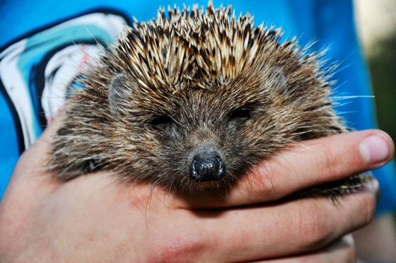 Photography: Фотоотчет лета