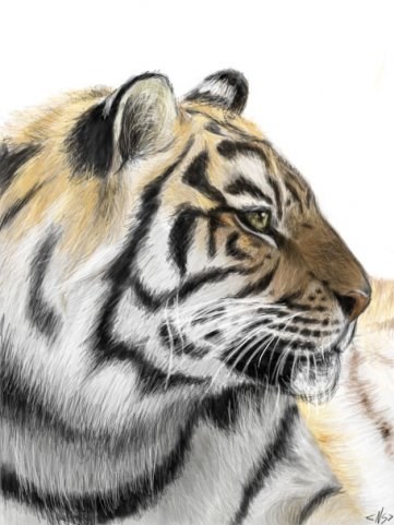 Рисунок: Рисунок от руки в Photosop