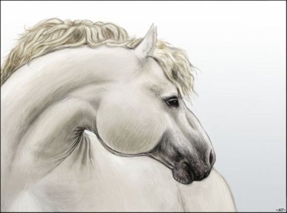 Рисунок: Рисунок от руки в Photosop